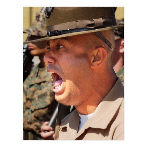 US Marine Corps Drill Instructor Postcard Zazzle