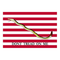 US Naval Jack Poster posters