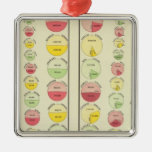 US Population by Sex and Race, 1890 Christmas Tree Ornament