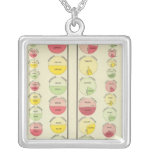 US Population by Sex and Race, 1890 Pendant