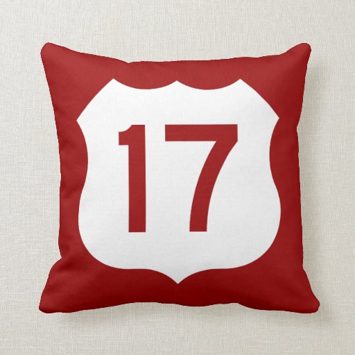 US Route 17 Sign Throw Pillow | Zazzle