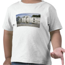 US, VA, Arlington. Women in Military Service for Tees