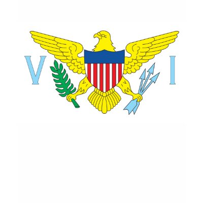 US Virgin Islands Flag T-shirt by FlagTshirts