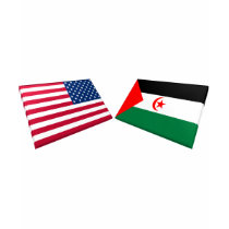 US & Western Sahara Flags t-shirts