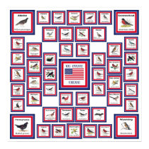 USA 50 STATE BIRDS WHITE/553 posters