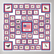 USA 50 STATE BIRDS WHITE/553 POSTERS