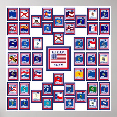 USA 50 STATE FLAGS WHITE/556