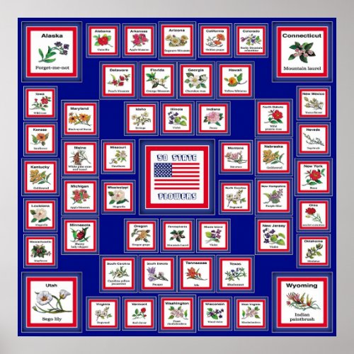 USA 50 STATE FLOWERS BLUE/558 print