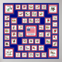 USA 50 STATE FLOWERS BLUE/558 PRINT