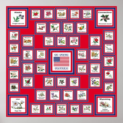 USA 50 STATE FLOWERS RED/560 print