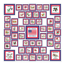 USA 50 STATE FLOWERS WHITE/559 posters