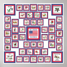 USA 50 STATE FLOWERS WHITE/559 PRINT