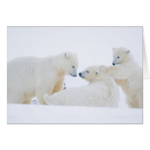 USA, Alaska, 1002 Coastal Plain of the Arctic Greeting Cards