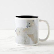 USA, Alaska, 1002 Coastal Plain of the Arctic Coffee Mug
