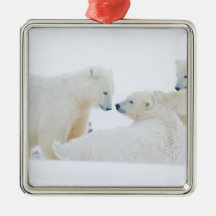 USA, Alaska, 1002 Coastal Plain of the Arctic Christmas Ornament