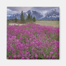 USA, Alaska, Alsek River Valley. View of Fridge Magnets
