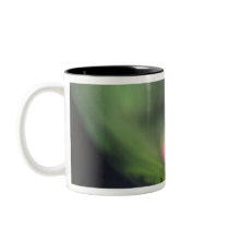 USA, Alaska, Chena Hot Springs. Aurora 2 Mug