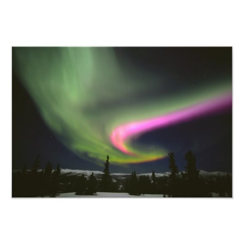 USA, Alaska, Chena Hot Springs. Aurora 2 photoenlargement