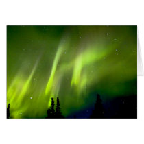 USA, Alaska, Chena Hot Springs. Aurora 3 Card