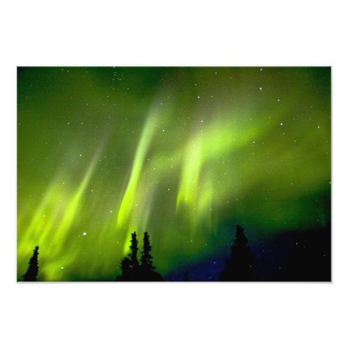 USA, Alaska, Chena Hot Springs. Aurora 3 photoenlargement