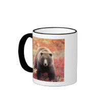 USA, Alaska, Denali NP, female Grizzly Bear Coffee Mug