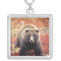 USA, Alaska, Denali NP, female Grizzly Bear Custom Necklace
