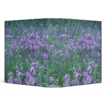 USA, Alaska, Hillberg Lake Wilderness Wild 3 Ring Binders