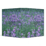 USA, Alaska, Hillberg Lake Wilderness Wild binders