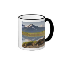 USA, Alaska, Katmai National Park, Brown Bears 2 Coffee Mug