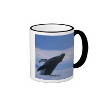 USA, Alaska, Tongass National Forest, Humpback Coffee Mugs
