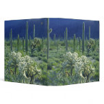 USA, Arizona, Organ Pipe Cactus National binders