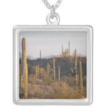 USA, Arizona, Sonoran Desert, Ajo, Ajo 2 Necklaces