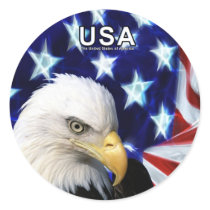 USA Bald Eagle with Flag Sticker
