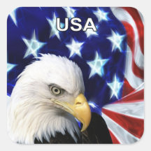 USA Bald Eagle with Flag Sticker