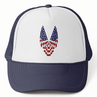 USA Banners Hat by Curious_Dreams