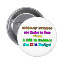 USA Budget 2011 Button