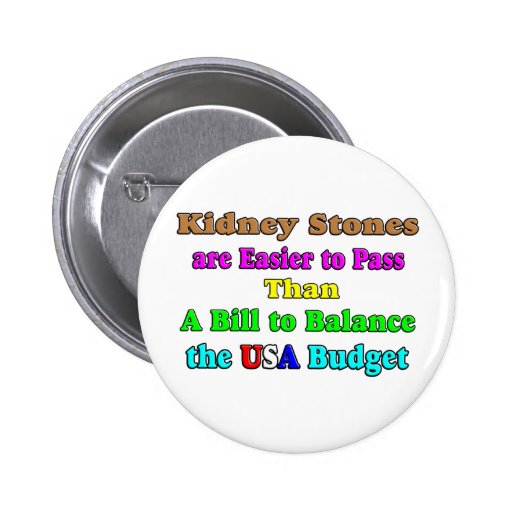 USA Budget 2011 Button
