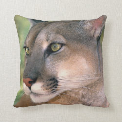 USA, California, Los Angeles County. Portrait of Throw Pillow