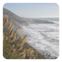 USA, California, Mendocino Coast Sticker