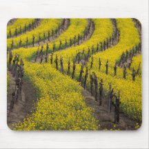 USA, California, Napa Valley, Los Carneros Ava. Mousepads