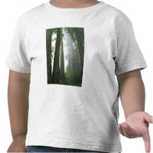 USA, California, Redwood National Park, Tshirts