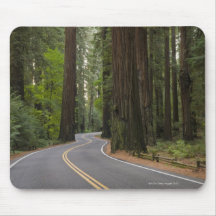 USA, California, road through Redwood forest Mousepads