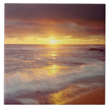 USA, California, San Diego. Sunset Cliffs beach Tiles