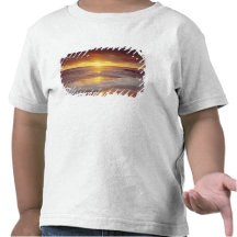 USA, California, San Diego. Sunset Cliffs beach T-shirts