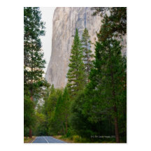 USA, California, Yosemite National Park, El 4 Post Cards
