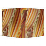 USA. Close-up of dried rainbow pasta noodles. binders