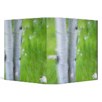 USA, Colorado, Lake City, Aspens and Vinyl Binders