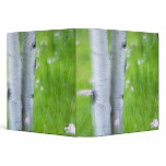 USA, Colorado, Lake City, Aspens and binders
