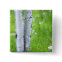 USA, Colorado, Lake City, Aspens and Button