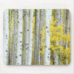 USA, Colorado, White River National Forest, Mouse Pad